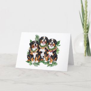Tack Hawaiian Bernese Mountain Hundar Kort