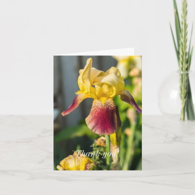 Tack, Heirloom Iris Tack Kort (Framsida)