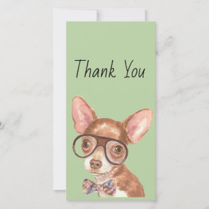 Tack Hipster Chihuahua Kort