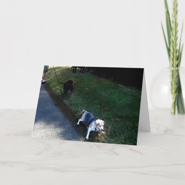 TACK HOSPITALITETSKORT KORT (Framsida)