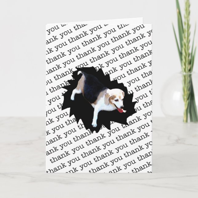 TACK HOSPITALITY #2 (Framsida)