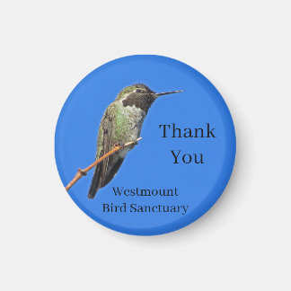 Tack Hummingbird Icke-Vinstdrivande Organisation T Magnet