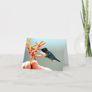 Tack Hummingbird Kort
