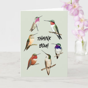 Tack, Hummingbird Kort