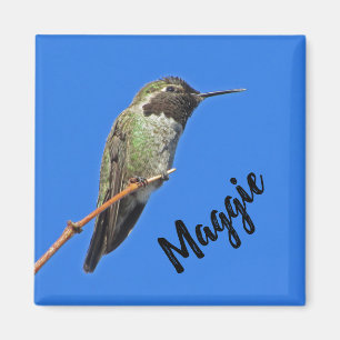 Tack Hummingbird Photo Nature-utvärdering Magnet