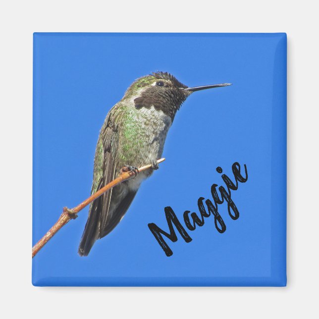 Tack Hummingbird Photo Nature-utvärdering Magnet (Framsidan)