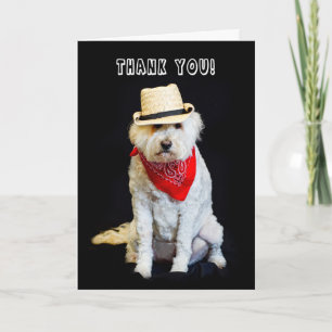 TACK - HUMOR - HUND/COWBOY HAT OCH SKARV KORT