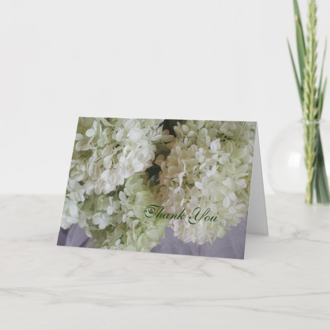 Tack Hydrangea (Framsida)