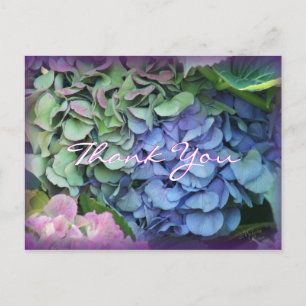Tack Hydrangea 4577- anpassa alla tillfälle Vykort