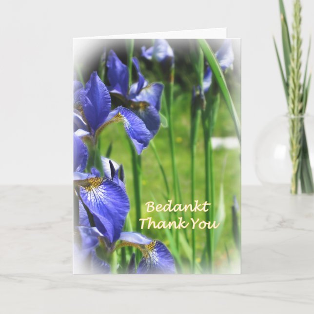 Tack i holländare och engelska kort (Framsida)