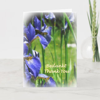 Tack i holländare och engelska kort