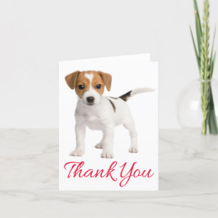 Tack Jack Russell Terrier Puppy Hund Blank Kort