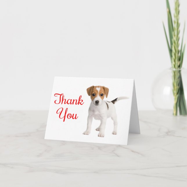 Tack Jack Russell Terrier Puppy Hund Note Card (Framsida)