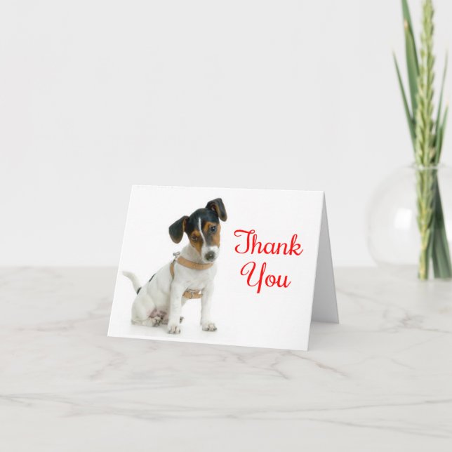 Tack Jack Russell Terrier Puppy Hund Note Card Kort (Framsida)