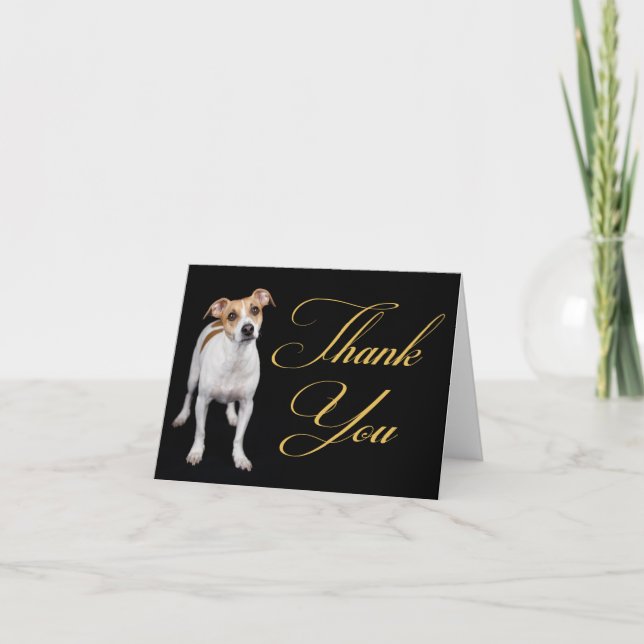 Tack Jack Russell Terrier Puppy Hund Note Card Kort (Framsida)