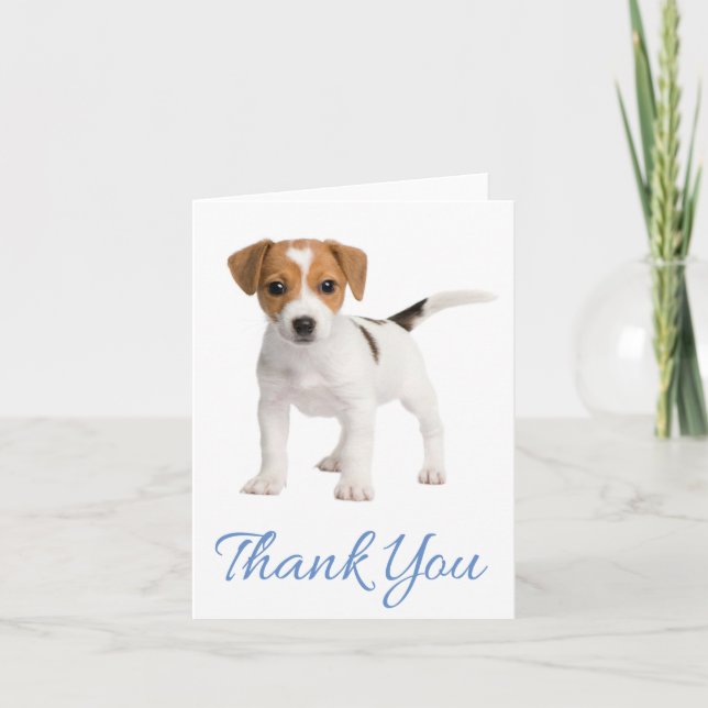Tack Jack Russell Terrier Puppy Hund Note Card Kort (Framsida)