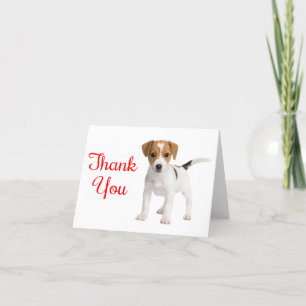 Tack Jack Russell Terrier Puppy Hund Note Card Kort