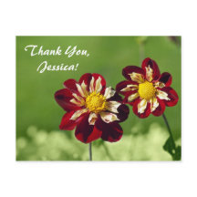 Tack, Jessica! vykort