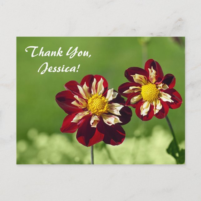 Tack, Jessica! vykort (Framsida)