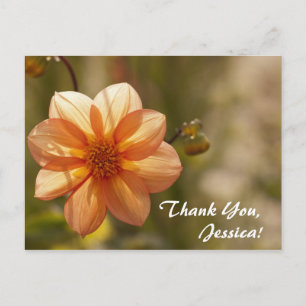 Tack, Jessica! vykort