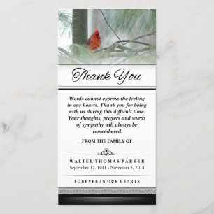 Tack kardinal Bird Ord kan inte uttrycka