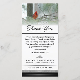 Tack kardinal Bird Ord kan inte uttrycka Kort