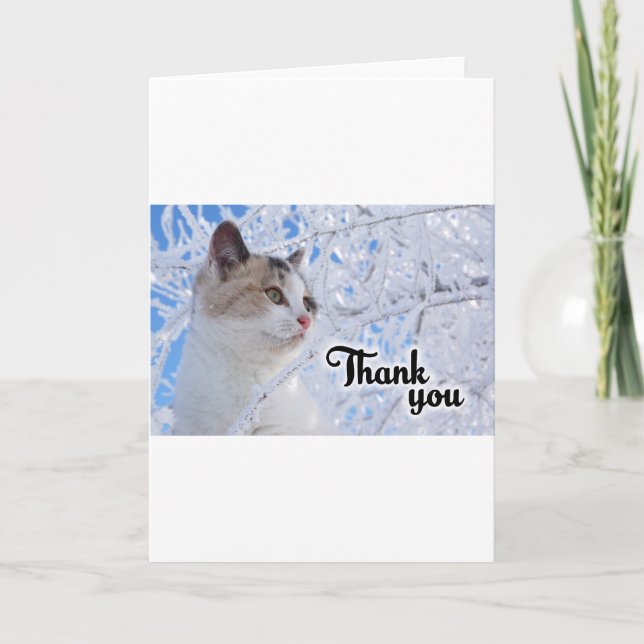 Tack Katt (Framsida)