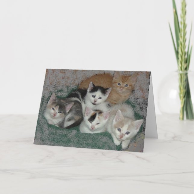 Tack/Kittens Tack Kort (Framsida)