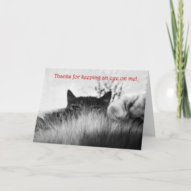 Tack Kort (Framsida)