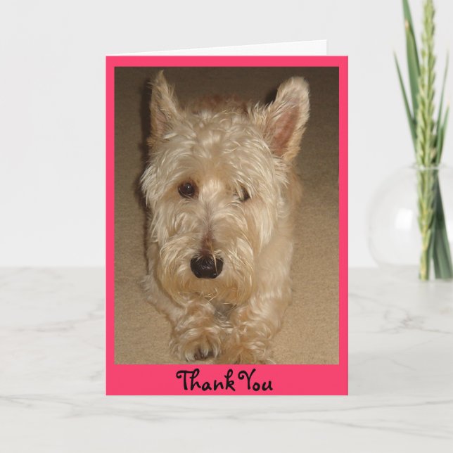 Tack Kort (Framsida)