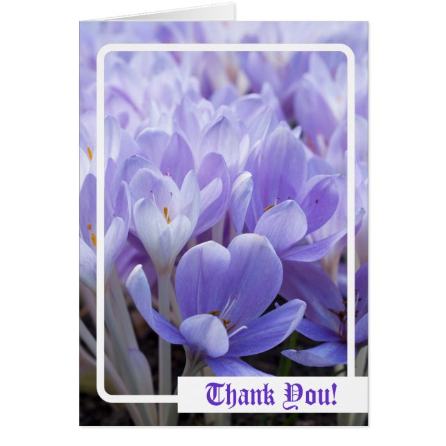 Tack! Kort (Framsidan)