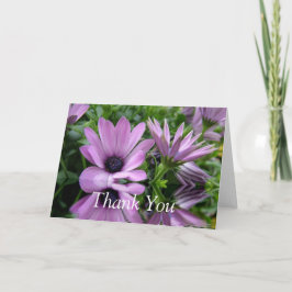 Tack, kort, lila daisy blommor tack kort