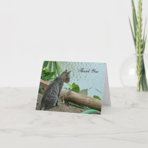 Tack kort - lille Kitten vid Vatten