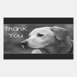 Tack Labrador Retriever Puppy Hund Sticker Rektangulärt Klistermärke