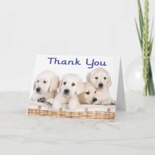 Tack Labrador Retriever Puppy Hundar Card Kort