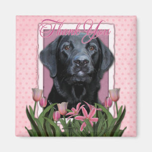 Tack - Labrador - svart - Gage Magnet