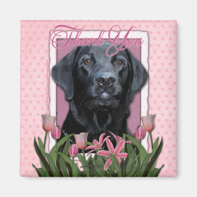 Tack - Labrador - Svart - Gage Magnet (Framsidan)