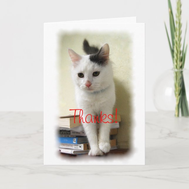 Tack, Lärare, Kitten på Bokar Card Tack Kort (Framsida)