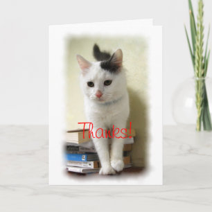 Tack, Lärare, Kitten på Bokar Card Tack Kort