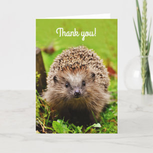 "Tack!" Little Hedgehog in the Forest Tack Kort
