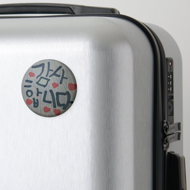 Tack magnet (In Situ (Luggage))