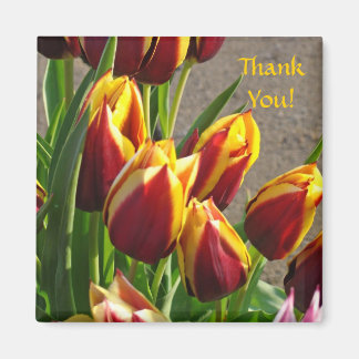 Tack! magnet Röd Gul Tulpan Trädgård Blommor
