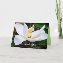 Tack Magnolia- och honungsbinkort