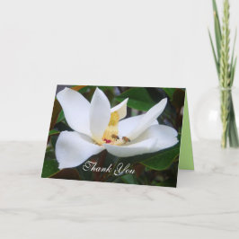 Tack Magnolia- och honungsbinkort Kort