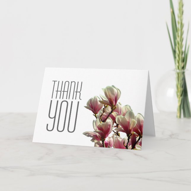 Tack Magnolia Professionell Modern Plain (Framsida)