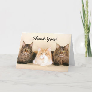 Tack Maine Coon Cats-hälsningskort Kort