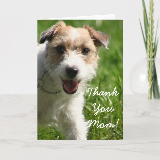 Tack Mamma Jack Russell Terrier Greeting Card Kort (Framsida)