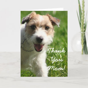Tack Mamma Jack Russell Terrier Greeting Card Kort