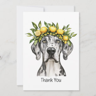 Tack Merle Great dane Hund Lemon Krona Kort