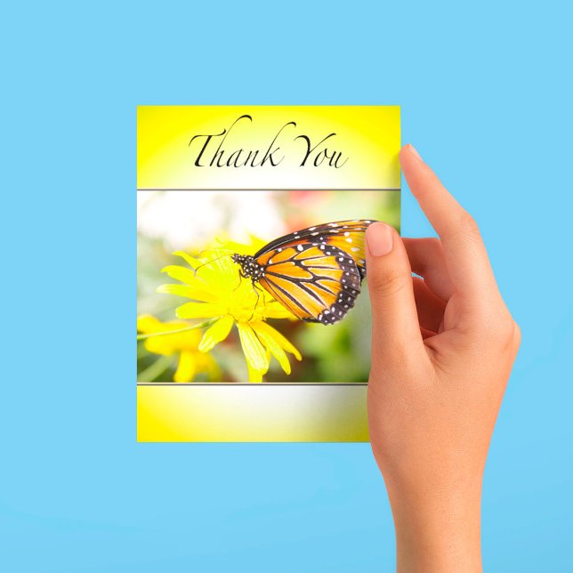 Tack Monarch Butterfly African Bush Daisy (Skapare uppladdad)